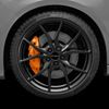 Netagon Car Brake Caliper Quick Drying High Performance Temperature Rating 220 C Paint Kit Set (Orange)