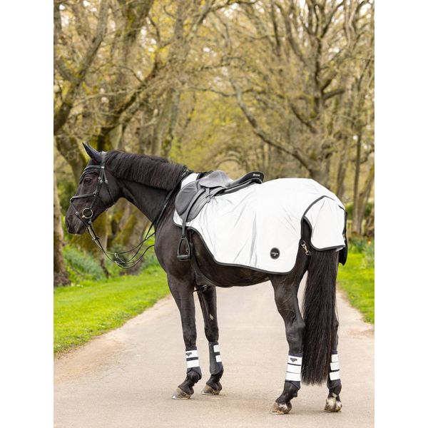 LeMieux Reflective Exercise Sheet Large