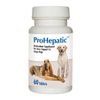 ProHepatic Antioxidant Liver Support Chewable Tablets for Large Dogs 60ct