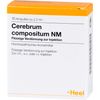 CEREBRUM COMPOSITUM NM Ampullen 10 St