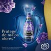 Mexico Downy Romance 25.4 fl oz (750 ml)