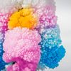 Tobar Magic Tree Crystal Growing Activity Set