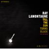Till The Sun Turns Black