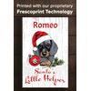 Personalized Dachshund Christmas Decoration - 16.5" x 10.5"