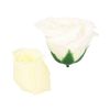 Francfranc Franfranc Cadmignon Bath Petals Light Green (Bath Salt)