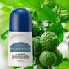 Zermat Perfect, Roll-On Deodorant, 24 h Antiperspirant, 3 Oz.