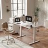 24x40 Inches Standing Desk Adjustable Height with Cable Management White
