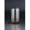 Diamond Star Glass 6.5"Dx10" clear Dome