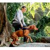 Rogz AirTech Dog Sport Harness Medium/Large - Sunset Pink