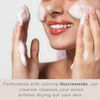 Teluris Hydro Purification Pre, Pro & Postbiotics Foam Cleanser, 5Fl. Oz