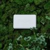 Ivory Simply Ivory Bath Bar for Unisex, 3 Count