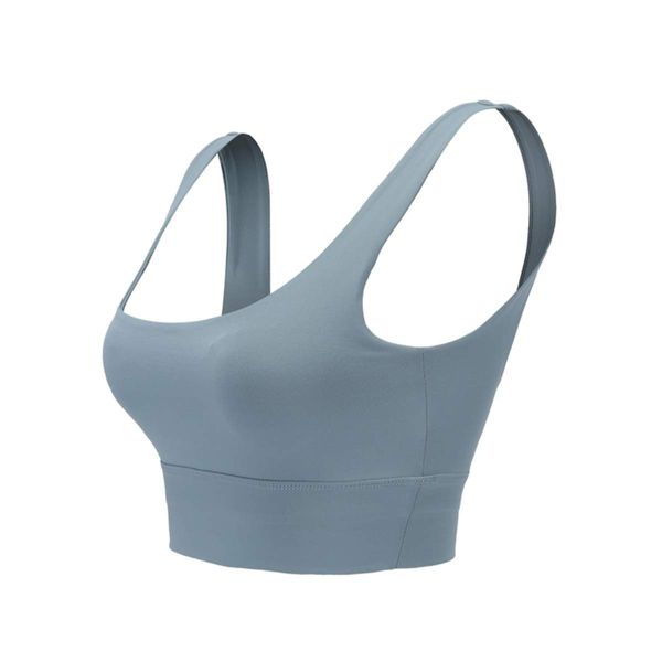 Wolfnukem Seamless Comfortable Padded Bra Wirefree with Added Spandex for Comfort (Blue, Small)