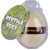 Ravensden Reptile Egg Hatching - 8cm Reptile Egg Growing Pet