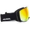 ALPINA A7246 Skibrille, Schwarz Matt, Einheitsgröße