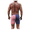NEPTIO Swim Trunk Surf Short (Front Pockets, Lined) (USA-Flag, Large)