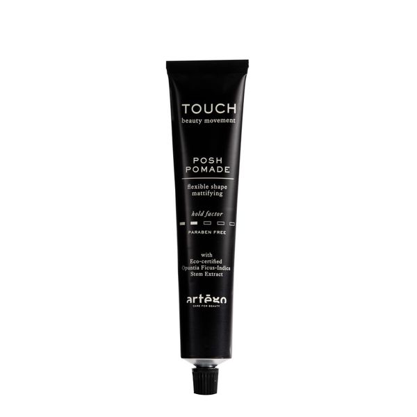 Artègo TOUCH Posh Pomade – Light Hold Matte Styling Cream (3.4oz)