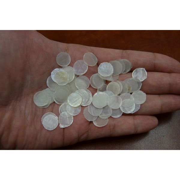 100 PCS NATURAL FLAT ROUND CAPIZ SEA SHELL BLANK DISC 1/2" #7875
