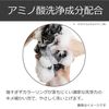 EVERYEveryEveryri Color Shampoo Purple Wine Red 10.1 fl oz (300 ml) (x1)