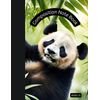 Composition Note Book: panda natural design