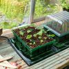 Gro-Sure Heated Propagation Mat,Black
