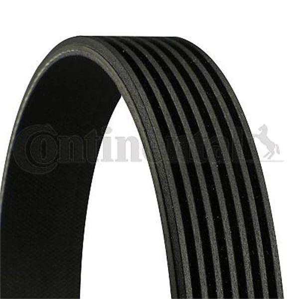 Contitech 7PK1165 Loose Multi-V Belt
