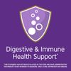 21St Century Advanced Probiotic 60 Capsules Digestive Immune Support Formula