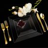 10.75" Disposable Fancy Square Clear Plastic Dinner Plates Splendid 120pcs
