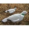 A1 Decoy Magnum Flocked Pigeon Shells (6)