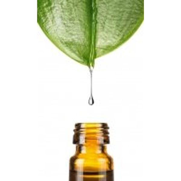 Dragonspice Naturwaren Vitamin E Acetate, 10 ml