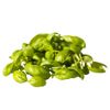 Fine Food Specialist Green Basil Micro Herb, 30g