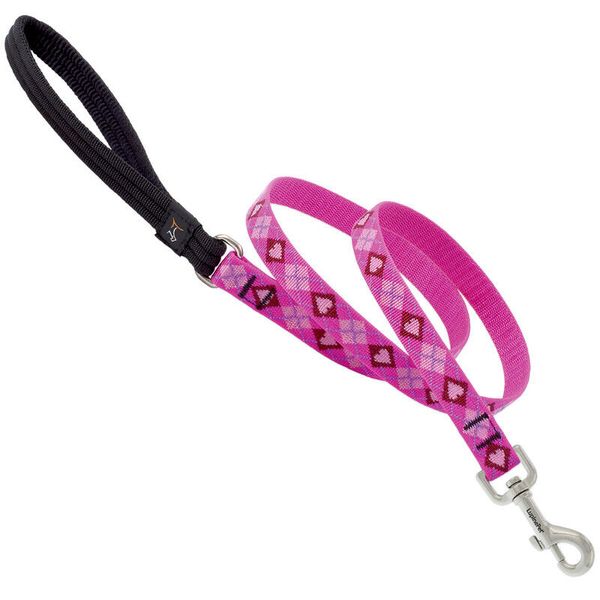 Lupine Pet 14209 Multicolored Puppy Love Nylon Dog Leash 6 L ft. x 3/4 W in.