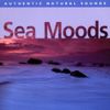 Sea Moods