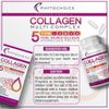 PHYTOCHOICE Advertising Insert Card for Multi Collagen Peptides-180