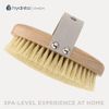 Hydrea London Dry Brushing Body Brush with Cactus Bristle - Dry Brush for Skin, Cellulite Remover, Skin Exfoliating Body Scrubber, Vegan Best Dry Brush for Flawless Skin, Helps Improve Lymphatic Drainage - FSC® Certified Beechwood.