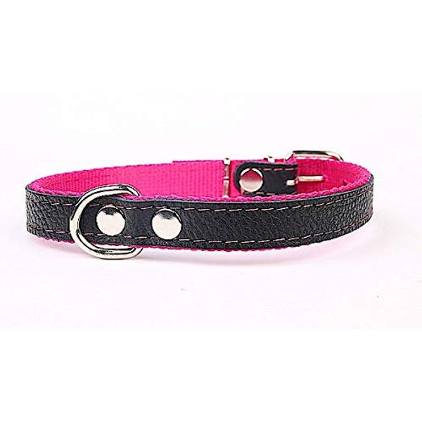 Dog Collar with Soft Lining and Strong Genuine Leather Collar Width 40 mm Length 55 cm Pink