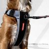 EzyDog X-Link Harness | Dog Harness, Medium, Purple, Reflective Stitching, No Pull, Breathable Material