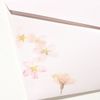 G.C.PRESS Pure Natural Cherry Blossom Stationery Envelopes Set