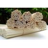 100 pcs Rattan NaturalGold Reed Diffuser High Quality replacement Sticks 10"x3mm