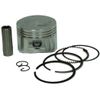 Apollo 125cc RFZ Open Piston Kit (Will not work for the RFZ Open LWB 125)