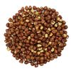 FirstChoiceCandy Gourmet Raw Unsalted Hazelnuts 1 LB