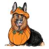 Simplicity Pet Accessories Sewing Pattern Kit, Code S9497, Sizes S-M-L, Multicolor