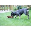 Rosewood Spike The Hedgehog Dog Toy