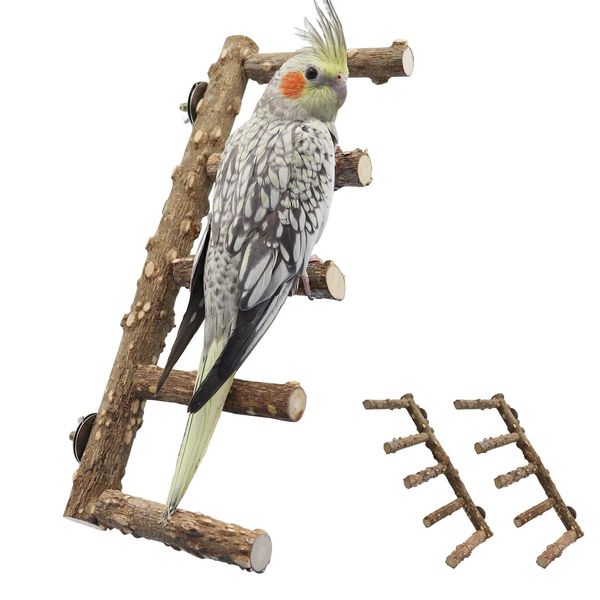 2 Pack Bird Ladder, Bird Perch Stand, Natural Prickly Ash Wood Bird Parrot Cage Accessories, Bird Standing Climbing Chewing Toys for Parakeet Cockatiel Rats Hamsters