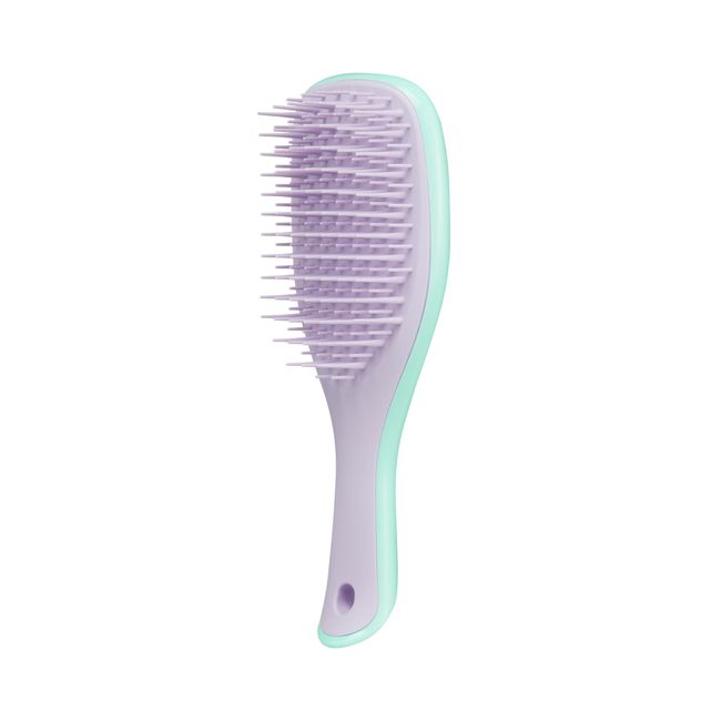 Tangle Teezer | The Mini Ultimate Detangler Hairbrush |Gentle on Wet Hair | Two-Tiered Teeth & Comfortable Handle | Ideal for Kids And Travel | Reduces Knots & Breakage | Wisteria Leaf