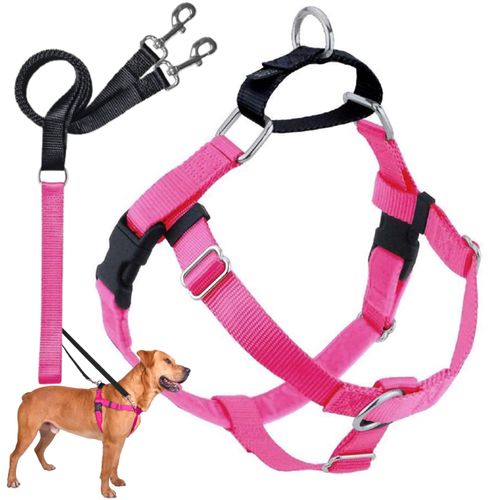 2 Hounds Design Freedom No Pull Dog Harness, Adjustable Harness and Leash Set, Easy Walking & Comfortable Control, Fits Small, Medium & Large Dogs, Solid Colors, Made in USA, 1" MD, Hot Pink
