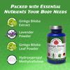 Ginkgo Biloba Brain Support – Natural Supplements for Memory, Focus, and Mental