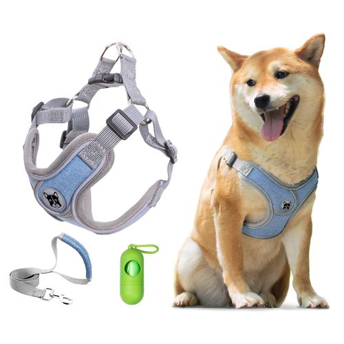 Patas Lague Dog Harness with Leash Set for Small Medium Dogs, No Pull No Choke Reflective Step in X Head Pet Harness Vest with Poop Bags and Dispenser, Adjustable and Padded, Blue Medium