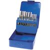 BGS 1924 | Thread Cutting Set | M3 - M12 | 21 pcs.