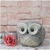 Roman Pudgy Pal Owl Garden Statue