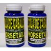 Cola de caballo Horsetail shave grass/shavegra